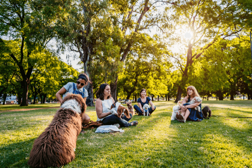 Trạm giao lưu thú cưng “Pets Meetup”